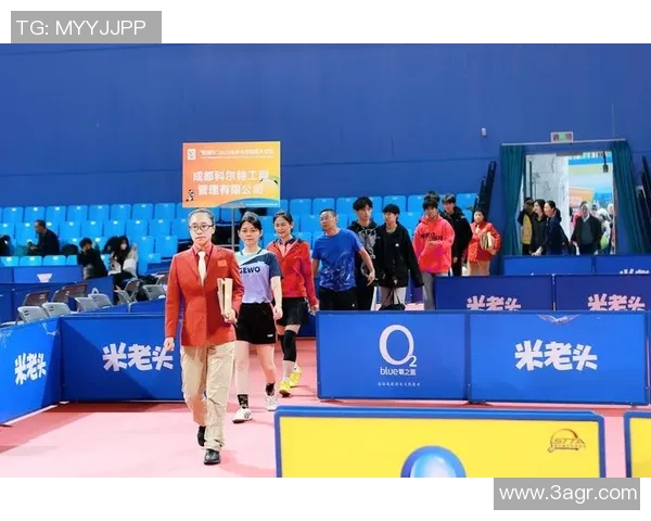 运动数据乒乓球的魅力与精神深入了解成都乒乓球队的训练与理念