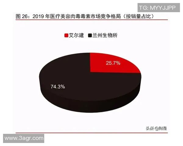 运动最新数据上海排球队实力分析与未来发展展望